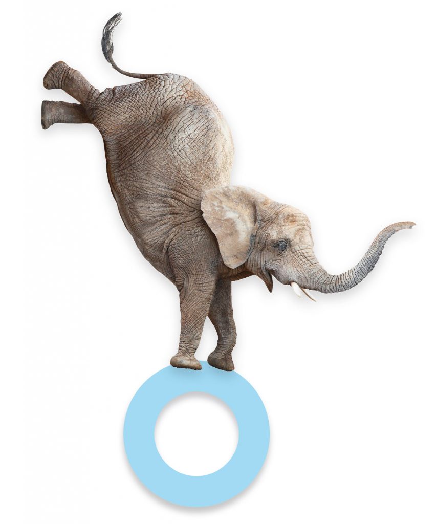 gutsy-elephant gutsy-elephant