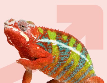 Gutsy Change Program Image
